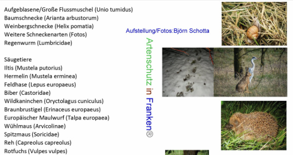 Copyright AiF Björn Schotta Bild zum Eintrag (96059-160)