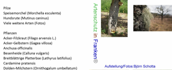 Copyright AiF Björn Schotta Bild zum Eintrag (96061-160)