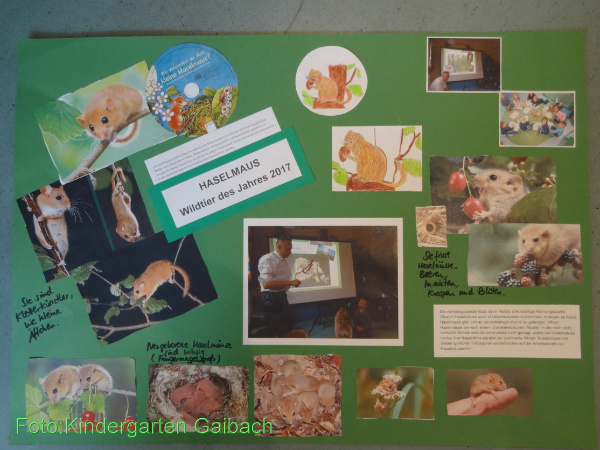 Copyright AiF Kindergarten Gaibach Bild zum Eintrag (96225-160)