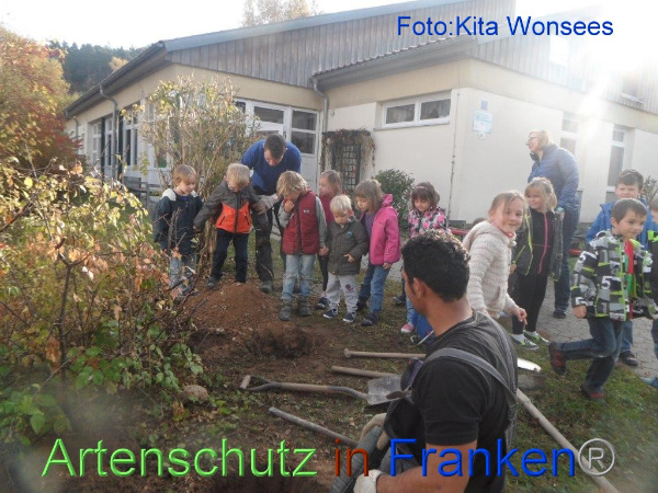 Bild zum Eintrag (96510-160)