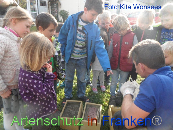 Copyright AiF/Kita Wonsees Bild zum Eintrag (96512-160)