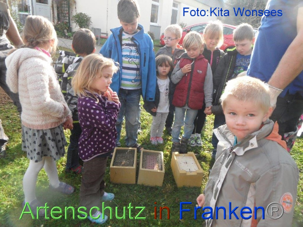 Copyright AiF/Kita Wonsees Bild zum Eintrag (96518-160)