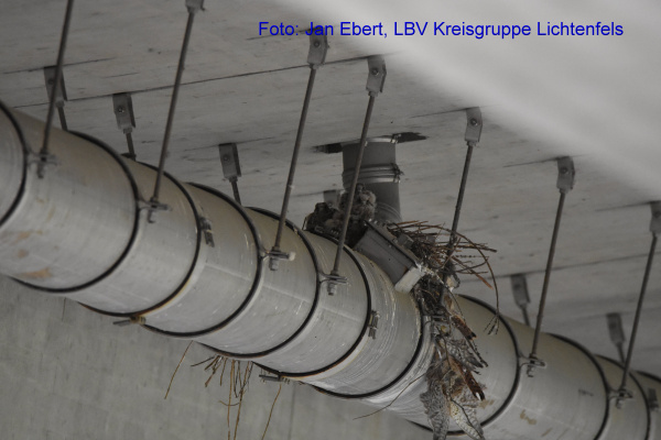Copyright AiF / LBV Jan Ebert Bild zum Eintrag (97599-160)
