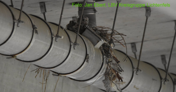 Copyright AiF / LBV Jan Ebert Bild zum Eintrag (97600-160)