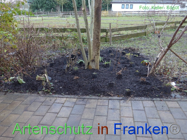 Copyright AiF Keller-Sögüt Bild zum Eintrag (97822-160)