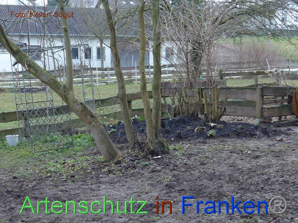 Copyright AiF Keller-Sögüt Bild zum Eintrag (97823-160)