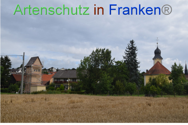 Copyright AiF / Strauß Bild zum Eintrag (97836-160)