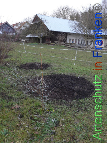 Copyright AiF Keller-Sögüt Bild zum Eintrag (97919-160)