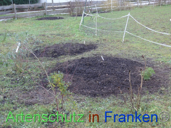 Copyright AiF Keller-Sögüt Bild zum Eintrag (97921-160)
