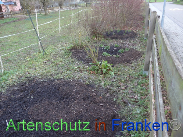 Copyright AiF Keller-Sögüt Bild zum Eintrag (97923-160)