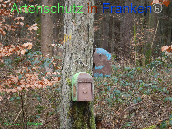 Copyright AiF / Jasmin Schreiber Bild zum Eintrag (98007-160)