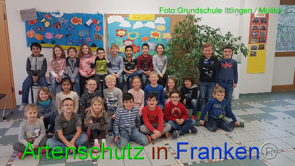 Copyright AiF / Grundschule Ittlingen - Molitor Bild zum Eintrag (98041-160)