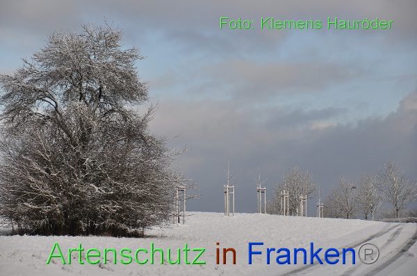 Copyright AiF Klemens Hauröder Bild zum Eintrag (98155-160)
