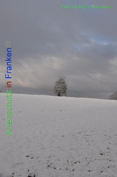 Copyright AiF Klemens Hauröder Bild zum Eintrag (98157-160)