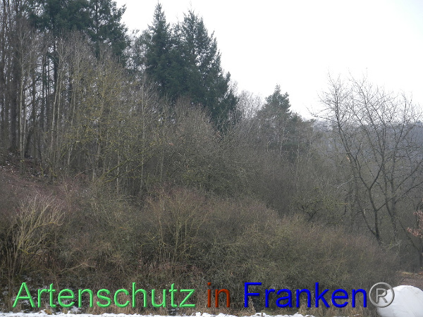 Bild zum Eintrag (98386-160)