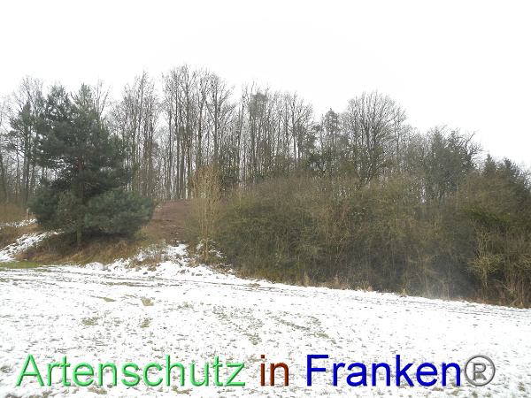 Bild zum Eintrag (98387-160)