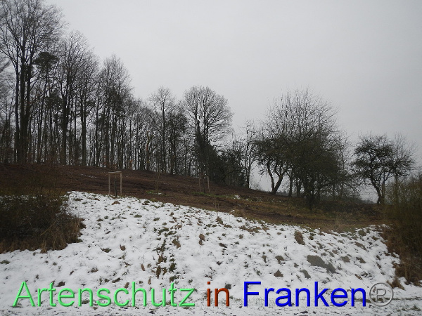 Bild zum Eintrag (98389-160)