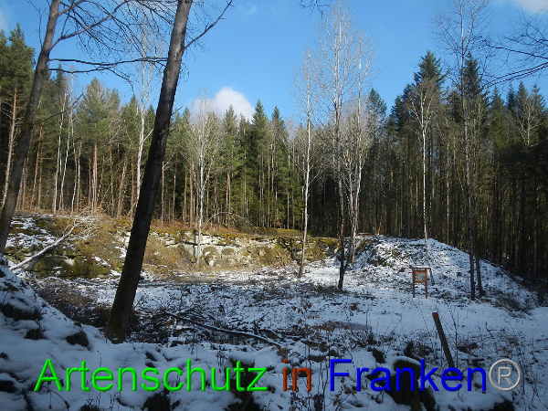 Bild zum Eintrag (98418-160)