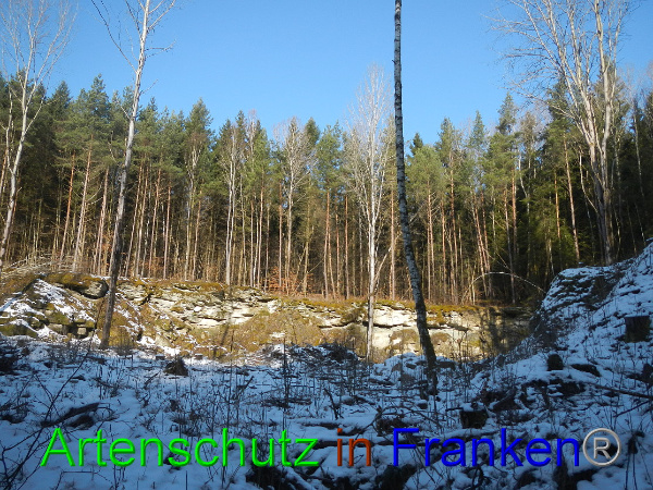 Bild zum Eintrag (98419-160)