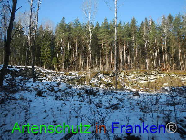 Bild zum Eintrag (98420-160)