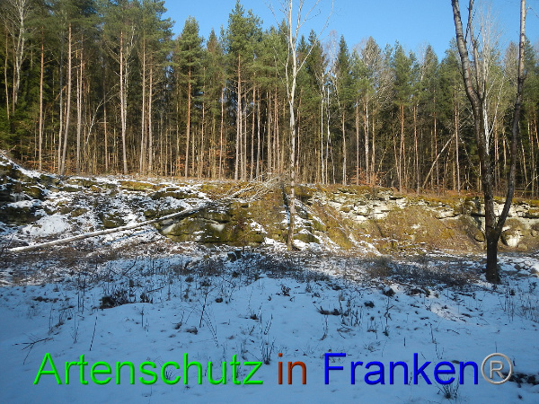 Bild zum Eintrag (98421-160)