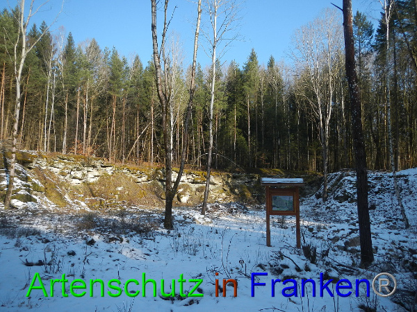 Bild zum Eintrag (98423-160)