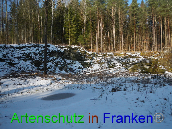 Bild zum Eintrag (98426-160)