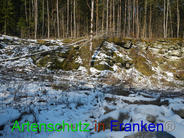 Bild zum Eintrag (98428-160)