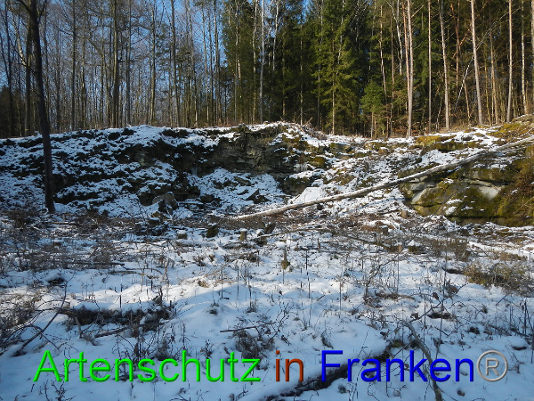 Bild zum Eintrag (98431-160)