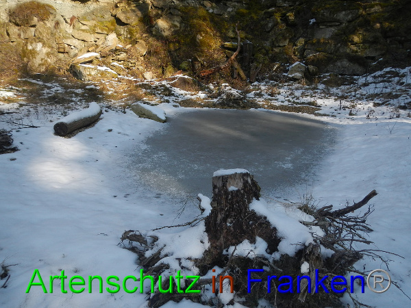 Bild zum Eintrag (98435-160)
