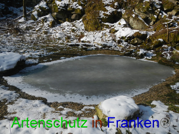 Bild zum Eintrag (98437-160)