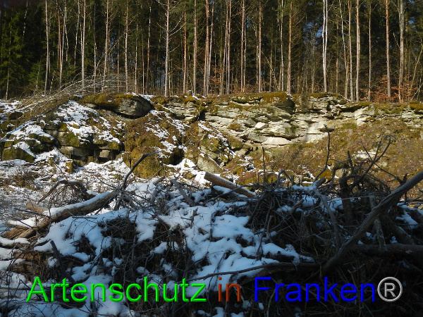 Bild zum Eintrag (98438-160)