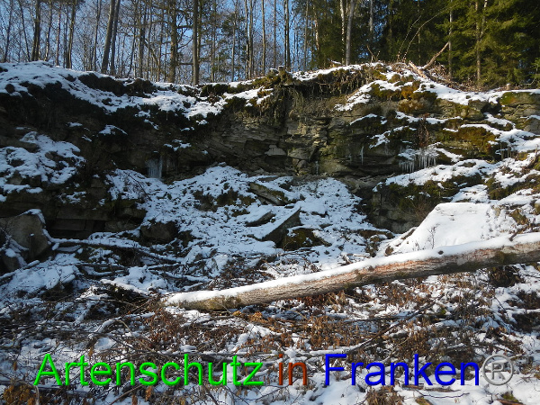 Bild zum Eintrag (98439-160)