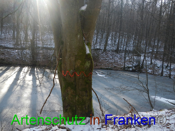 Bild zum Eintrag (98458-160)