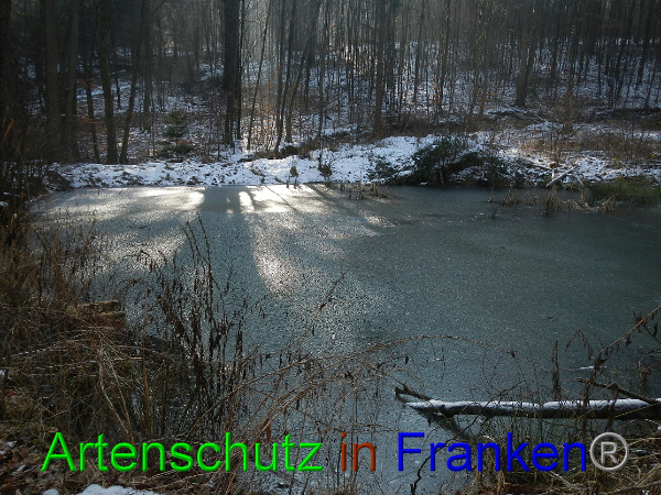 Bild zum Eintrag (98461-160)