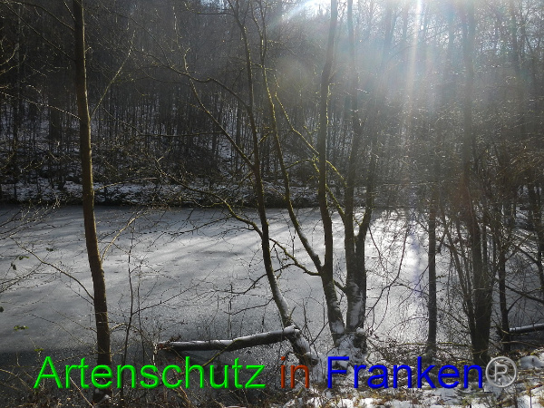 Bild zum Eintrag (98462-160)