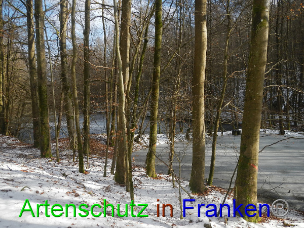 Bild zum Eintrag (98466-160)