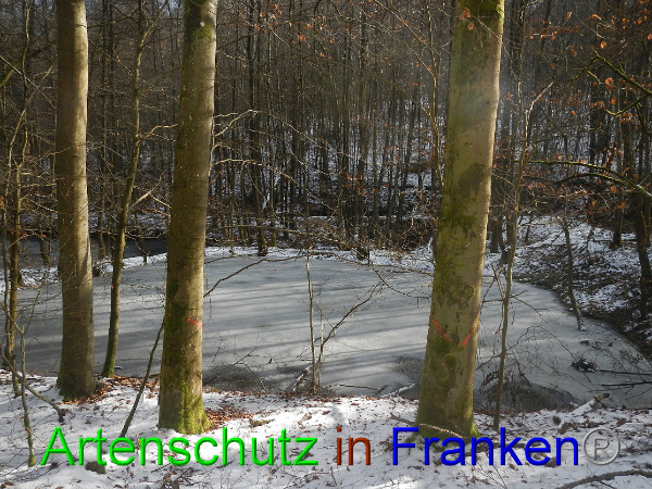 Bild zum Eintrag (98468-160)