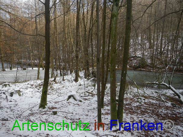 Bild zum Eintrag (98469-160)