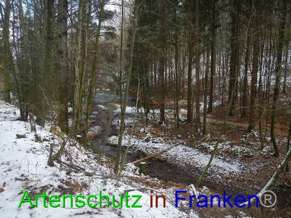 Bild zum Eintrag (98472-160)