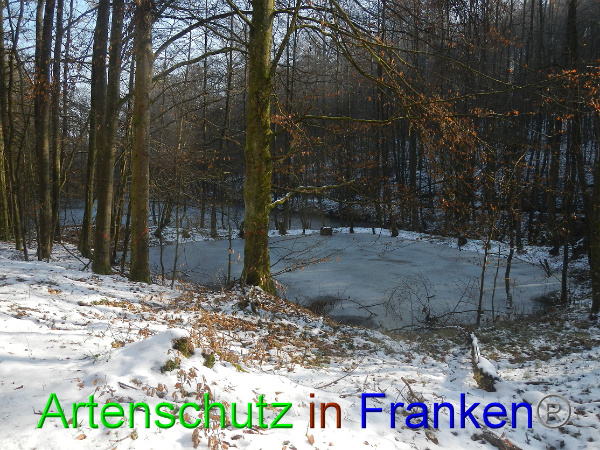 Bild zum Eintrag (98473-160)