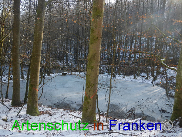 Bild zum Eintrag (98475-160)