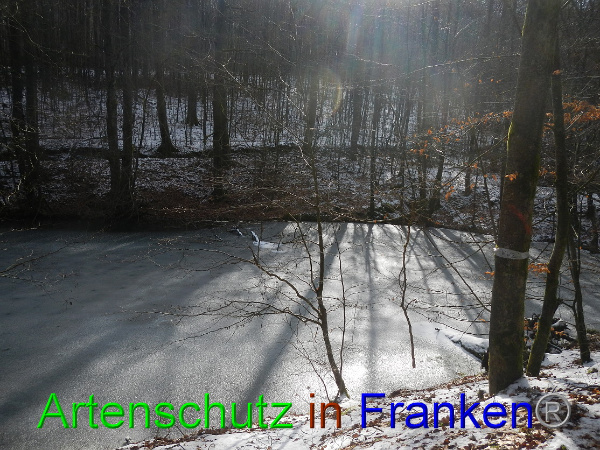 Bild zum Eintrag (98479-160)