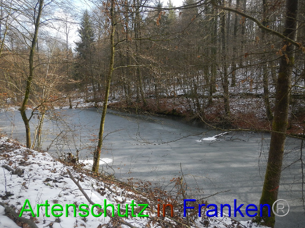 Bild zum Eintrag (98483-160)