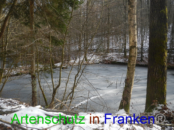 Bild zum Eintrag (98487-160)