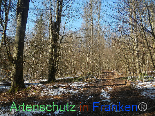 Bild zum Eintrag (98579-160)