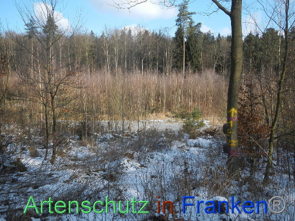 Bild zum Eintrag (98606-160)