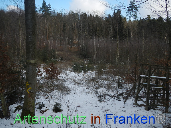 Bild zum Eintrag (98610-160)