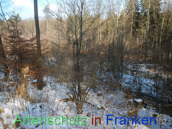 Bild zum Eintrag (98611-160)