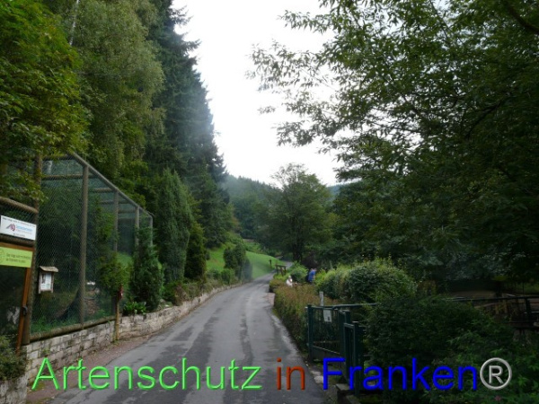 Bild zum Eintrag (98681-160)